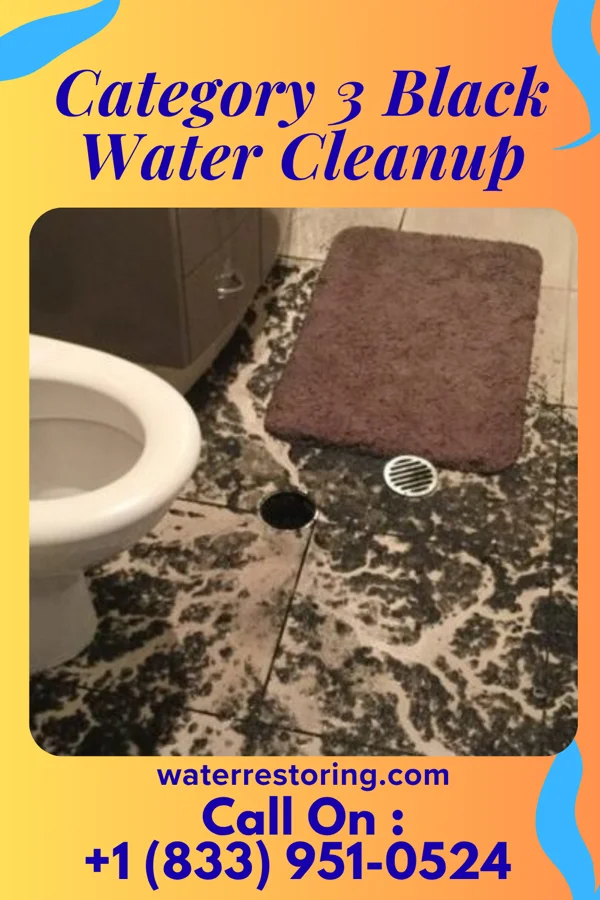 Category 3 Black Water Cleanup in Stonewood, WV