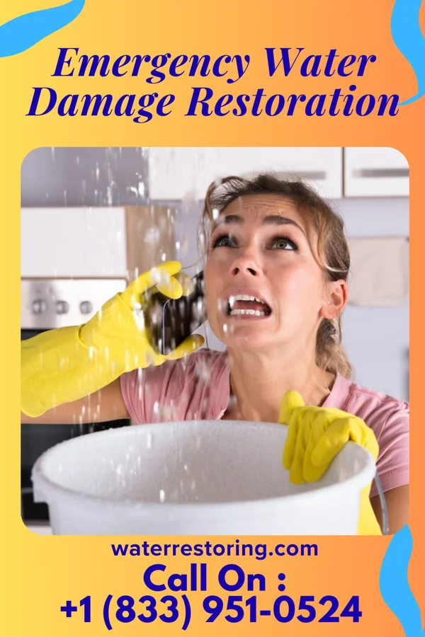 Emergency Water Damage Restoration in Stonewood, WV