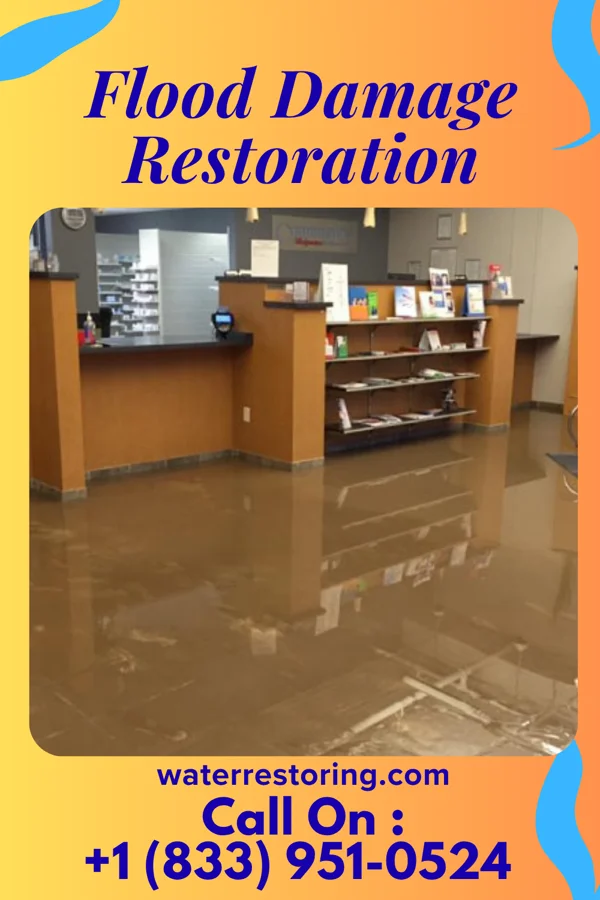 Flood Damage Restoration in Stonewood, WV