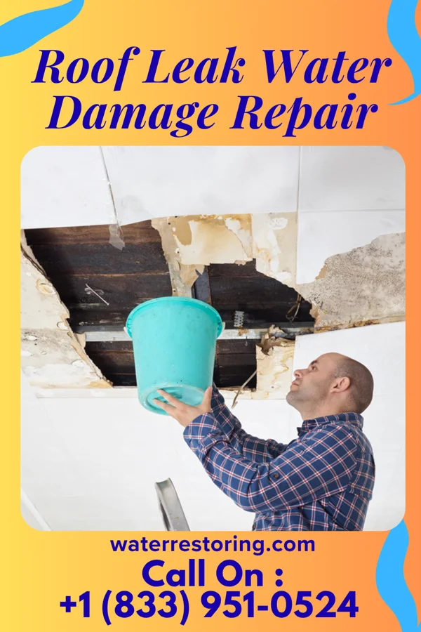Roof Leak Water Damage Repair in Stonewood, WV