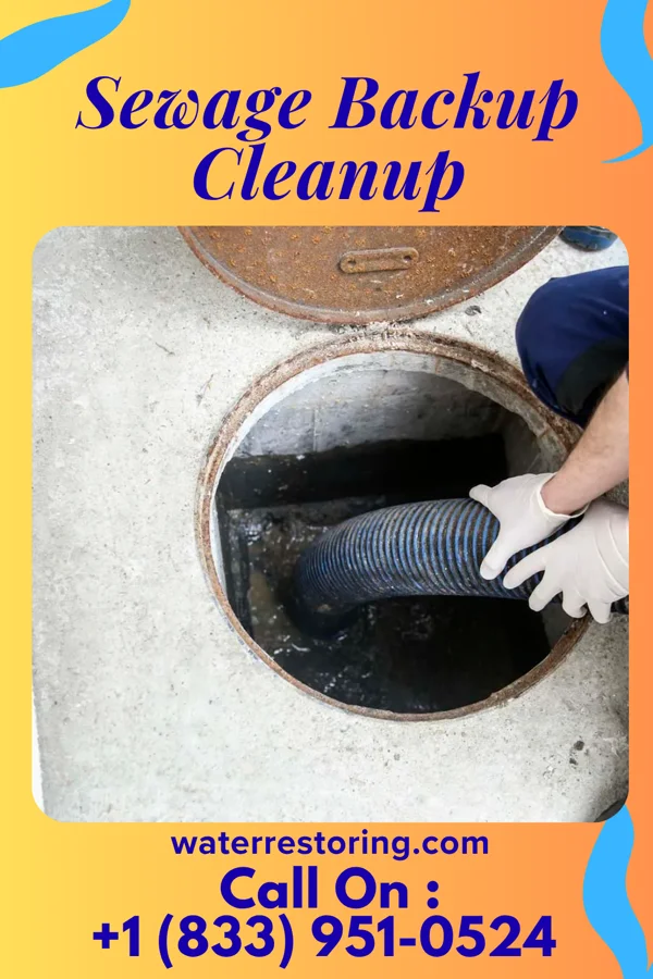 Sewage Backup Cleanup in Stonewood, WV