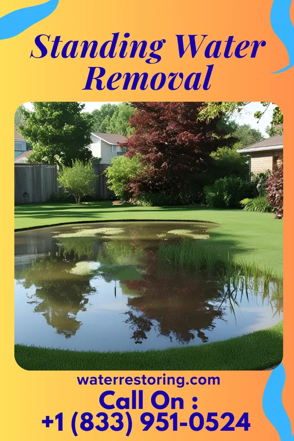 Standing Water Removal in Stonewood, WV